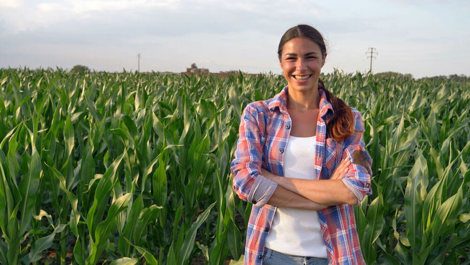 Expert-comptable à Perpignan pour agriculteur